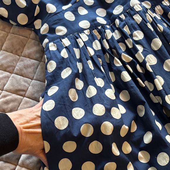 J. Crew Navy and White Polka Dot Dress - Picture 3 of 9